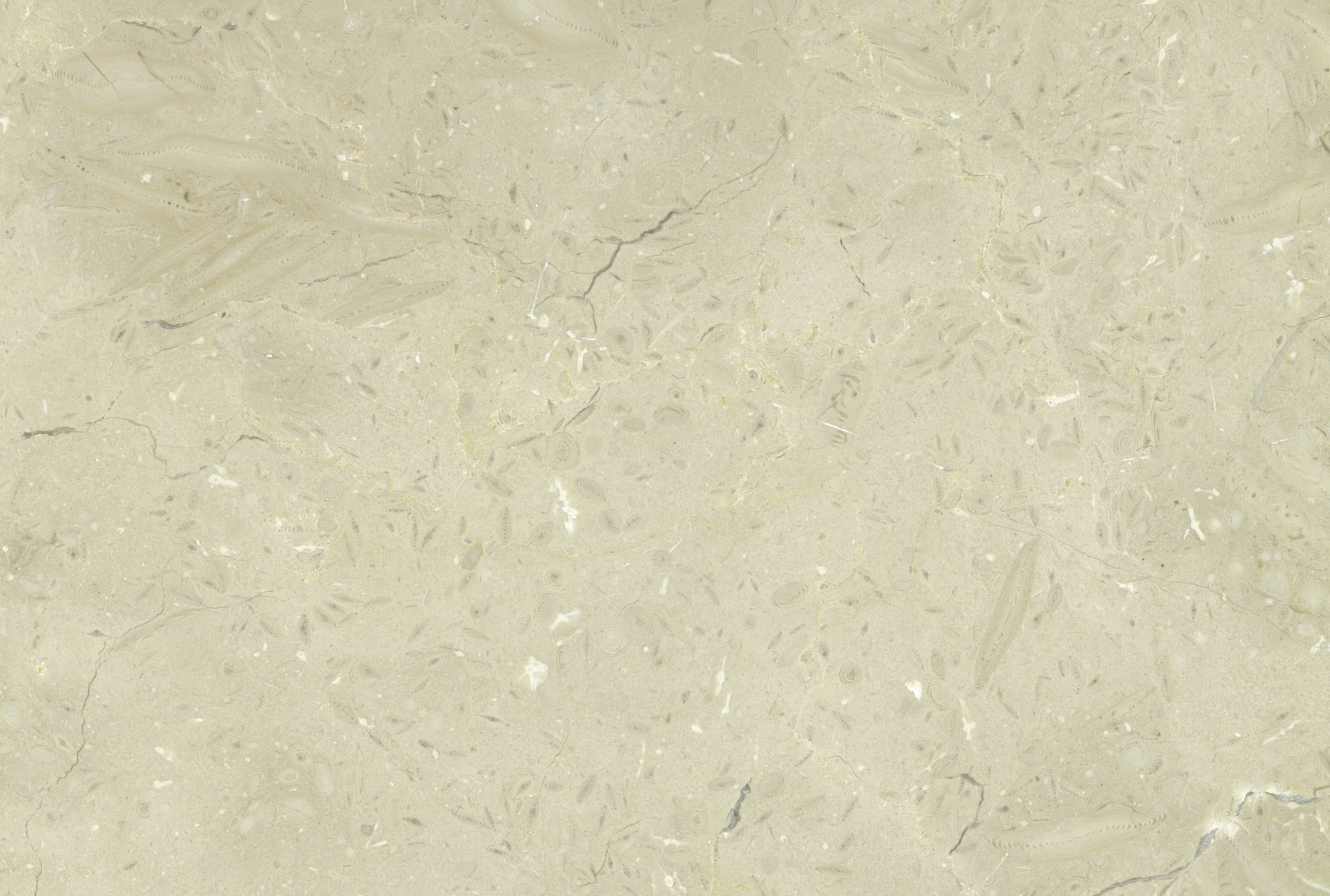 Reach Holy Land - Marble & Stone : Our Marble & Stone Collection - RH 15 - Olivo light